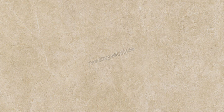  Ragno Realstone_Argent Miele 60x120 cm Vloertegel / Wandtegel Slim Mat Vlak Naturale R9MD | 341081