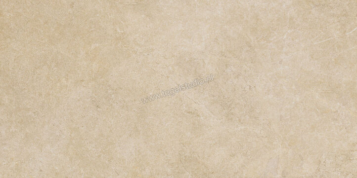  Ragno Realstone_Argent Miele 60x120 cm Vloertegel / Wandtegel Slim Mat Vlak Naturale R9MD | 341084