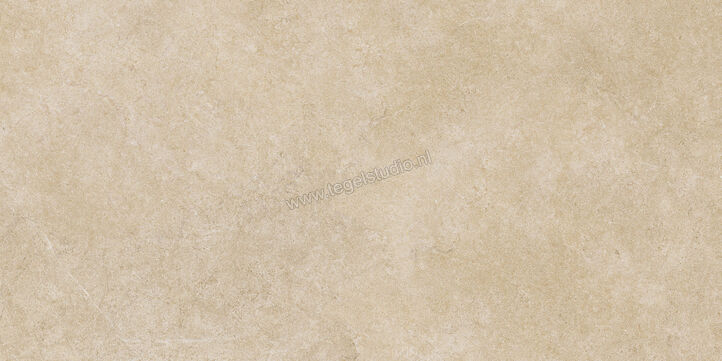  Ragno Realstone_Argent Miele 60x120 cm Vloertegel / Wandtegel Slim Mat Vlak Naturale R9MD | 341087
