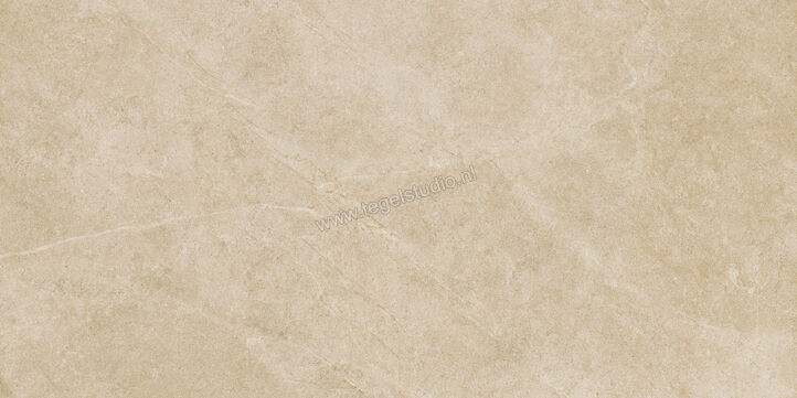  Ragno Realstone_Argent Miele 60x120 cm Vloertegel / Wandtegel Slim Mat Vlak Naturale R9MD | 341090
