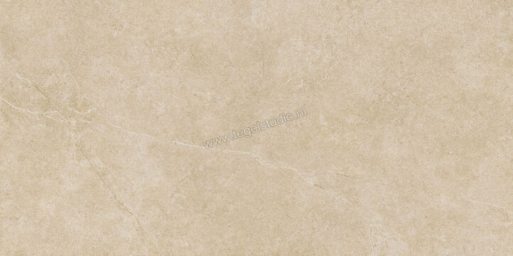  Ragno Realstone_Argent Miele 60x120 cm Vloertegel / Wandtegel Slim Mat Vlak Naturale R9MD | 341093