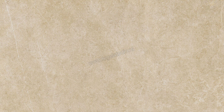  Ragno Realstone_Argent Miele 60x120 cm Vloertegel / Wandtegel Slim Mat Vlak Naturale R9MD | 341099