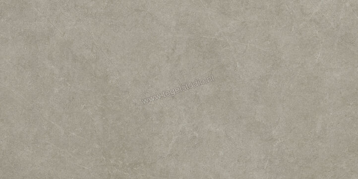  Ragno Realstone_Argent Ghiaccio 60x120 cm Vloertegel / Wandtegel Slim Mat Vlak Naturale R9ME | 341105