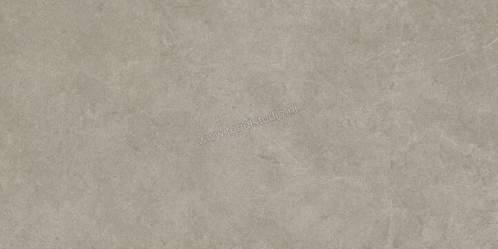  Ragno Realstone_Argent Ghiaccio 60x120 cm Vloertegel / Wandtegel Slim Mat Vlak Naturale R9ME | 341114