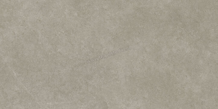  Ragno Realstone_Argent Ghiaccio 60x120 cm Vloertegel / Wandtegel Slim Mat Vlak Naturale R9ME | 341117