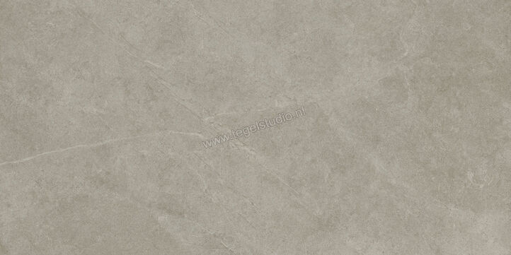  Ragno Realstone_Argent Ghiaccio 60x120 cm Vloertegel / Wandtegel Slim Mat Vlak Naturale R9ME | 341120