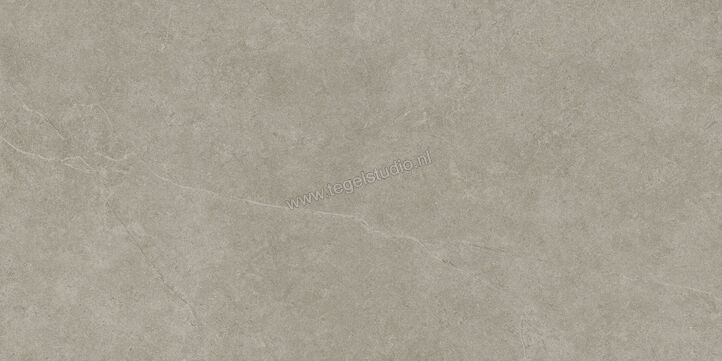  Ragno Realstone_Argent Ghiaccio 60x120 cm Vloertegel / Wandtegel Slim Mat Vlak Naturale R9ME | 341123