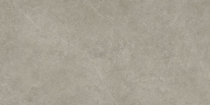  Ragno Realstone_Argent Ghiaccio 60x120 cm Vloertegel / Wandtegel Slim Mat Vlak Naturale R9ME | 341126