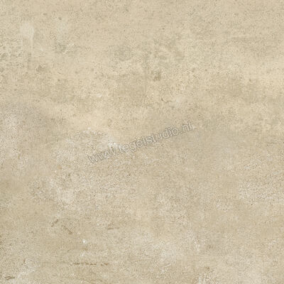  Ragno Clayton Earth 60x60 cm Vloertegel / Wandtegel Mat Vlak Naturale RAH2 | 341873