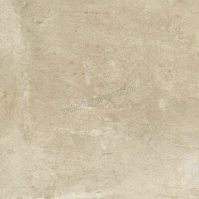 Ragno Clayton Earth 60x60 cm Vloertegel / Wandtegel Mat Vlak Naturale RAPD | 342461