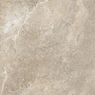 Villeroy & Boch Rustic Blend Garden Beige 80x80x2 cm Terrastegel Mat Vlak Vilbostoneplus 2882 RS20 0 | 343097