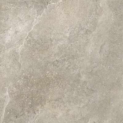  Villeroy & Boch Rustic Blend Garden Light Grey 80x80x2 cm Terrastegel Mat Vlak Vilbostoneplus 2882 RS60 0 | 343115