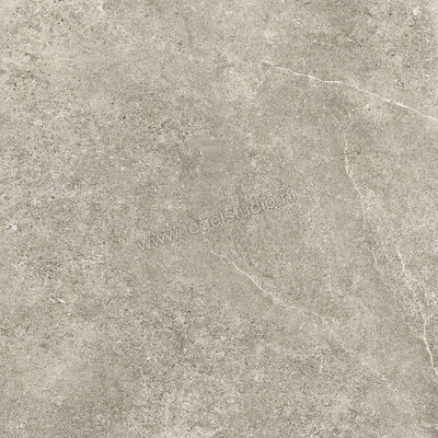 Villeroy & Boch Rustic Blend Garden Light Grey 80x80x2 cm Terrastegel Mat Vlak Vilbostoneplus 2882 RS60 0 | 343127