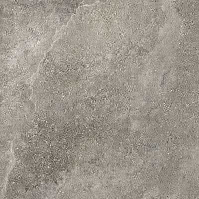 Villeroy & Boch Rustic Blend Garden Medium Grey 80x80x2 cm Terrastegel Mat Vlak Vilbostoneplus 2882 RS61 0 | 343136