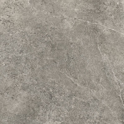 Villeroy & Boch Rustic Blend Garden Medium Grey 80x80x2 cm Terrastegel Mat Vlak Vilbostoneplus 2882 RS61 0 | 343139