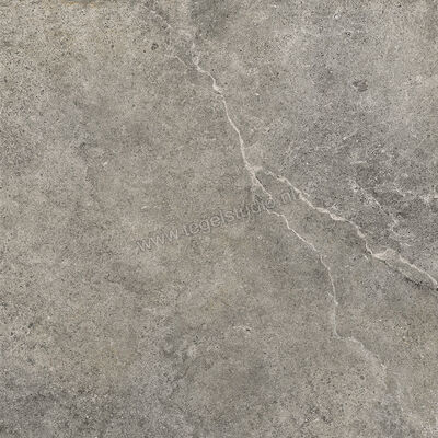 Villeroy & Boch Rustic Blend Garden Medium Grey 80x80x2 cm Terrastegel Mat Vlak Vilbostoneplus 2882 RS61 0 | 343142