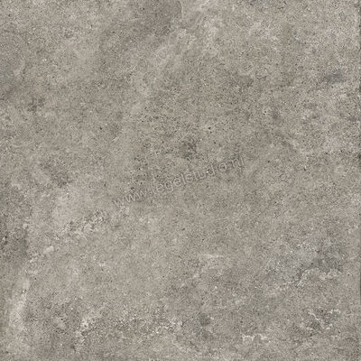 Villeroy & Boch Rustic Blend Garden Medium Grey 80x80x2 cm Terrastegel Mat Vlak Vilbostoneplus 2882 RS61 0 | 343148