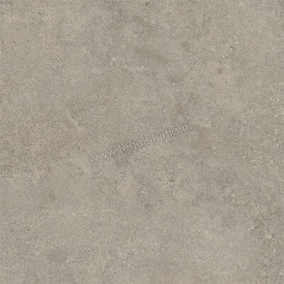  Atlas Concorde Boost Icor Sideral 60x60 cm Vloertegel / Wandtegel Mat Vlak Naturale AYBE | 343613