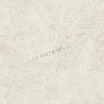 Atlas Concorde Boost Icor Outdoor Bone 120x120x2 cm Terrastegel Mat Vlak Naturale AYCG | 344210