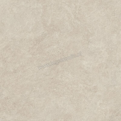  Atlas Concorde Boost Icor Outdoor Dust 120x120x2 cm Terrastegel Mat Vlak Naturale AYCH | 344219