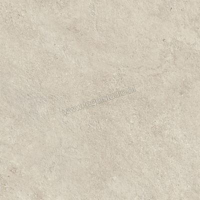  Atlas Concorde Boost Icor Outdoor Dust 60x60x2 cm Terrastegel Mat Vlak Naturale AYCM | 344267