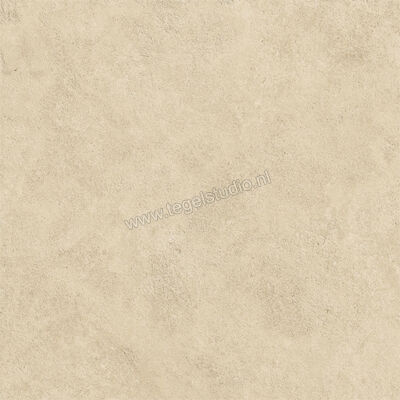  Atlas Concorde Boost Icor Outdoor Dune 60x60x2 cm Terrastegel Mat Vlak Naturale AYCN | 344270