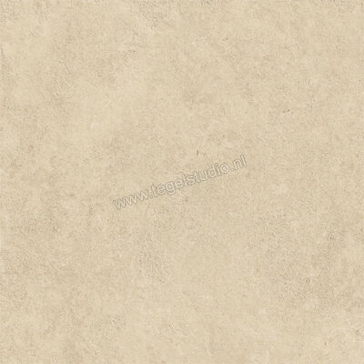  Atlas Concorde Boost Icor Outdoor Dune 60x60x2 cm Terrastegel Mat Vlak Naturale AYCN | 344273