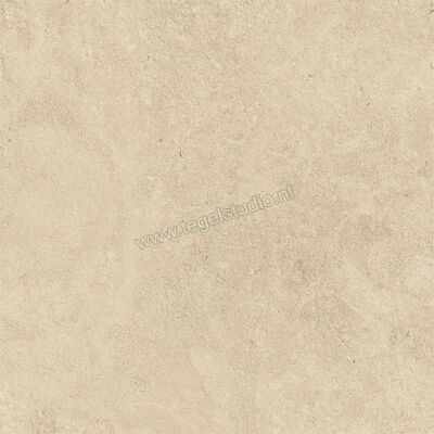  Atlas Concorde Boost Icor Outdoor Dune 60x60x2 cm Terrastegel Mat Vlak Naturale AYCN | 344276