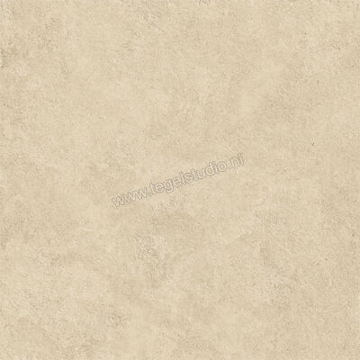  Atlas Concorde Boost Icor Outdoor Dune 60x60x2 cm Terrastegel Mat Vlak Naturale AYCN | 344279