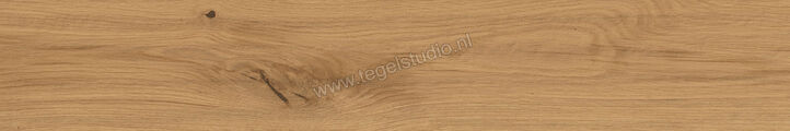  Atlas Concorde Log Amber Oak Forest 20x120 cm Vloertegel / Wandtegel Mat Vlak Naturale AX3F | 345101