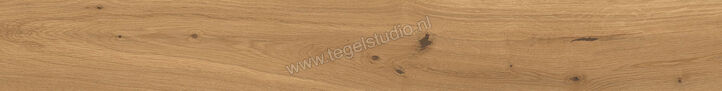  Atlas Concorde Log Amber Oak Forest 18.5x150 cm Vloertegel / Wandtegel Mat Vlak Naturale AX3P | 345467
