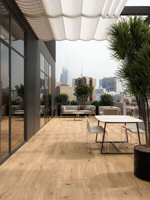  Atlas Concorde Log Outdoor Icon Oak Forest 30x120x2 cm Terrastegel Mat Vlak Naturale AX4A | 345794