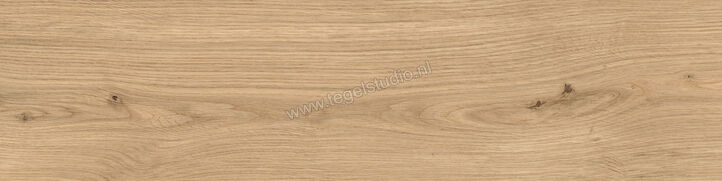  Atlas Concorde Log Icon Oak Forest 30x120x2 cm Terrastegel Mat Vlak Naturale AX4A | 345803