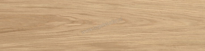  Atlas Concorde Log Outdoor Icon Oak Forest 30x120x2 cm Terrastegel Mat Vlak Naturale AX4A | 345812