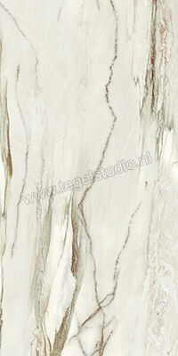  Sant Agostino Star Marble Emerald 30x60 cm Vloertegel / Wandtegel Glanzend Vlak Krystal CSASMEMK30 | 345833