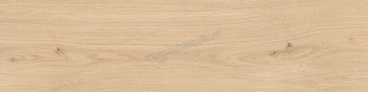  Atlas Concorde Log Outdoor Bright Oak Forest 30x120x2 cm Terrastegel Mat Vlak Naturale AX4B | 345839