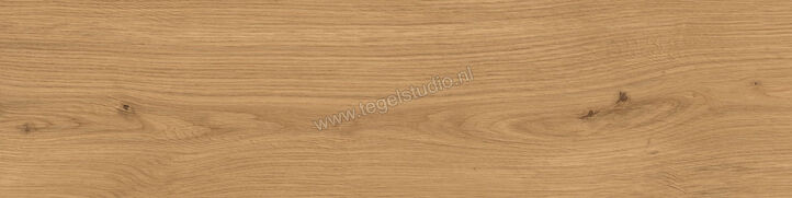  Atlas Concorde Log Amber Oak Forest 30x120x2 cm Terrastegel Mat Vlak Naturale AX4C | 345884