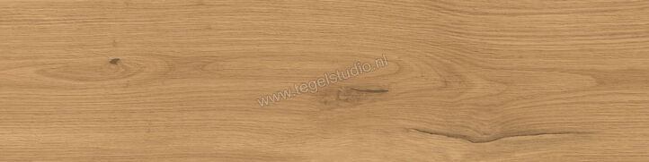  Atlas Concorde Log Amber Oak Forest 30x120x2 cm Terrastegel Mat Vlak Naturale AX4C | 345896