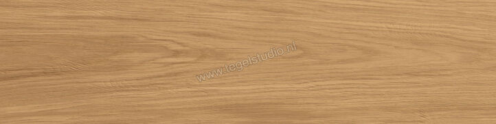  Atlas Concorde Log Amber Oak Forest 30x120x2 cm Terrastegel Mat Vlak Naturale AX4C | 345911