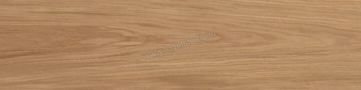  Atlas Concorde Log Deep Oak Forest 30x120x2 cm Terrastegel Mat Vlak Naturale AX4D | 345971