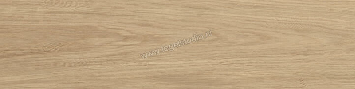  Atlas Concorde Log Moon Oak Forest 30x120x2 cm Terrastegel Mat Vlak Naturale AX4E | 346031