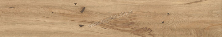  Atlas Concorde Log Icon Oak Forest 20x120 cm Vloertegel / Wandtegel Grip Mat Vlak Naturale AX4H | 346076