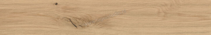  Atlas Concorde Log Icon Oak Forest 20x120 cm Vloertegel / Wandtegel Grip Mat Vlak Naturale AX4H | 346103