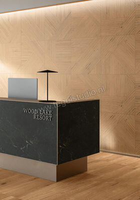  Atlas Concorde Log Icon Oak 60x60 cm Vloertegel / Wandtegel Modern Frame 1 Mat Vlak Naturale AX4O | 346574