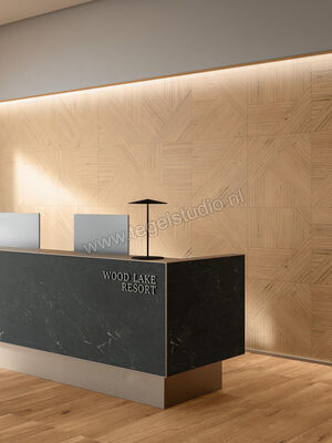  Atlas Concorde Log Icon Oak 60x60 cm Vloertegel / Wandtegel Modern Frame 1 Mat Vlak Naturale AX4O | 346607