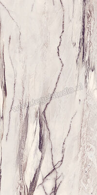  Sant Agostino Star Marble Purple 60x120 cm Vloertegel / Wandtegel Glanzend Vlak Krystal CSASMPUK12 | 346631