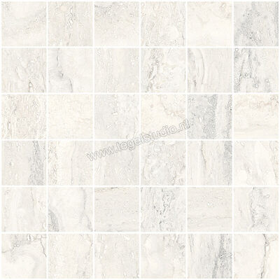  Sant Agostino Invictus White 30x30 cm Mozaiek 5x5 Mat Vlak Natural CSAMINWH30 | 347024