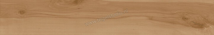  Atlas Concorde Log Cansei Fenice 20x120 cm Vloertegel / Wandtegel Mat Vlak Naturale AX7A | 349295