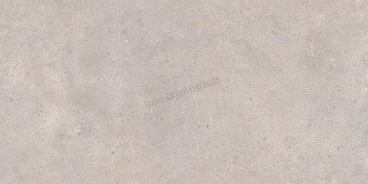  Ceramiche Caesar Materica Polvere 40x80 cm Vloertegel / Wandtegel Mat Vlak Touch Plus AFT2 CAE | 353914