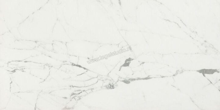  Ceramiche Caesar Anima Statuario Venato 30x60 cm Vloertegel / Wandtegel Mat Vlak Touch Plus AIBF CAE | 354538